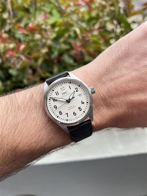 iwc mark xx white